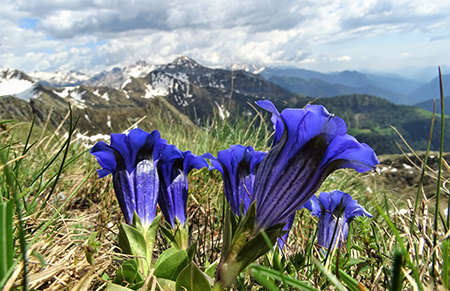 Al Passo di Budria (2216 m) al Rifugio Balicco e Bivacco Zamboni ad anello il 20 maggio 2020- FOTOGALLERY